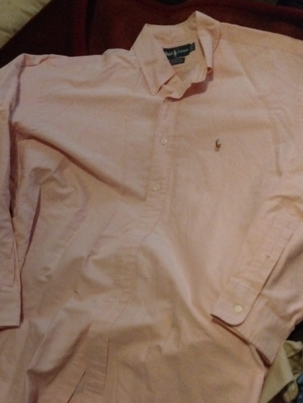 Ralph Lauren Light Pink Long-Sleeve Button-Down Shirt